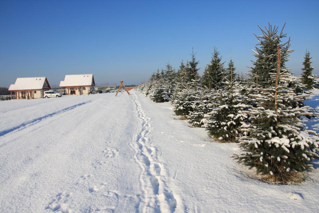 Wygodny Murowany Domek- Nowy ดอมกี ภายนอก รูปภาพ